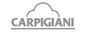 carpigiani-partner